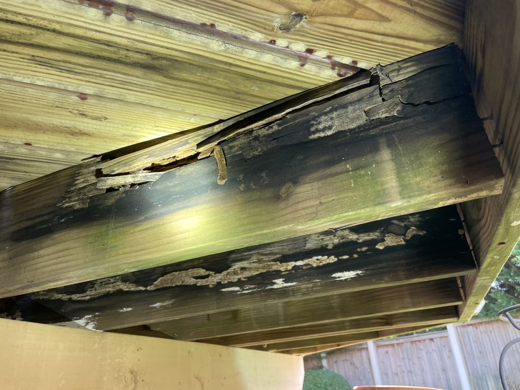 Dry Rot on a deck in the upstate of North Carolina