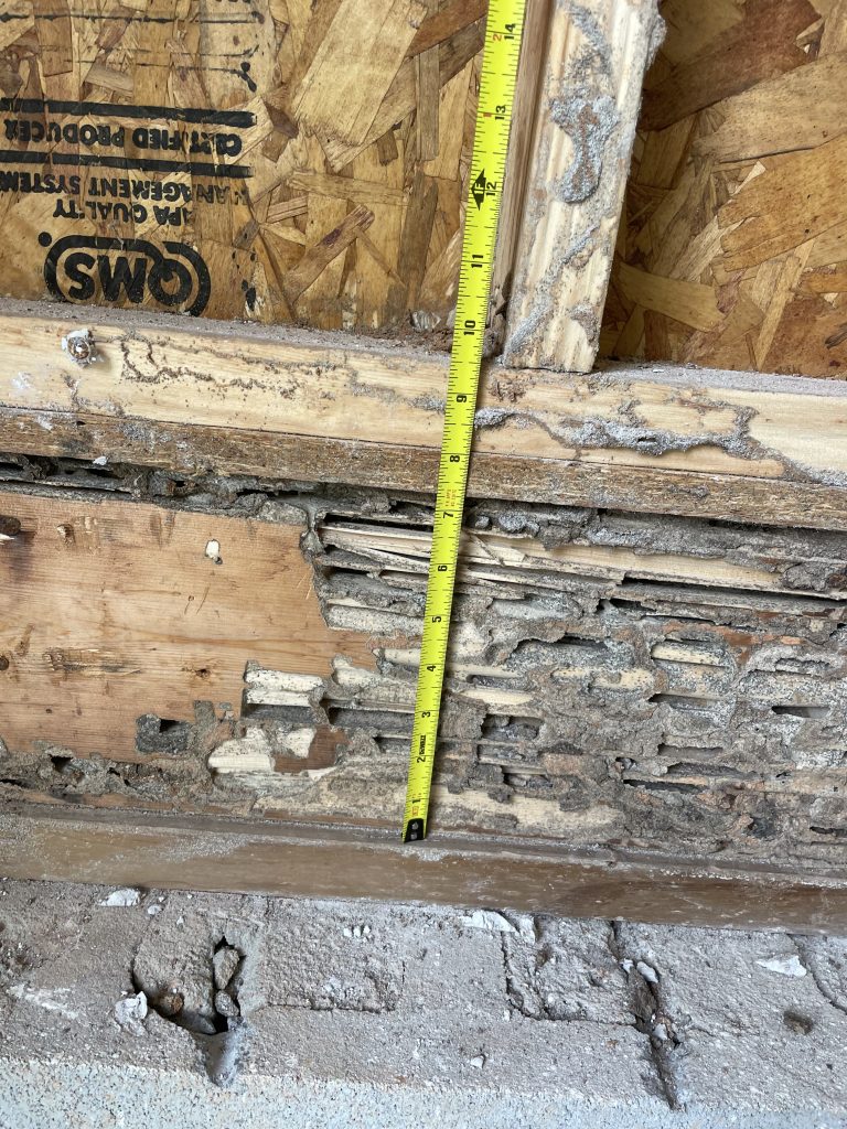 measured termite damage to a band on a garage wall taken by WNC